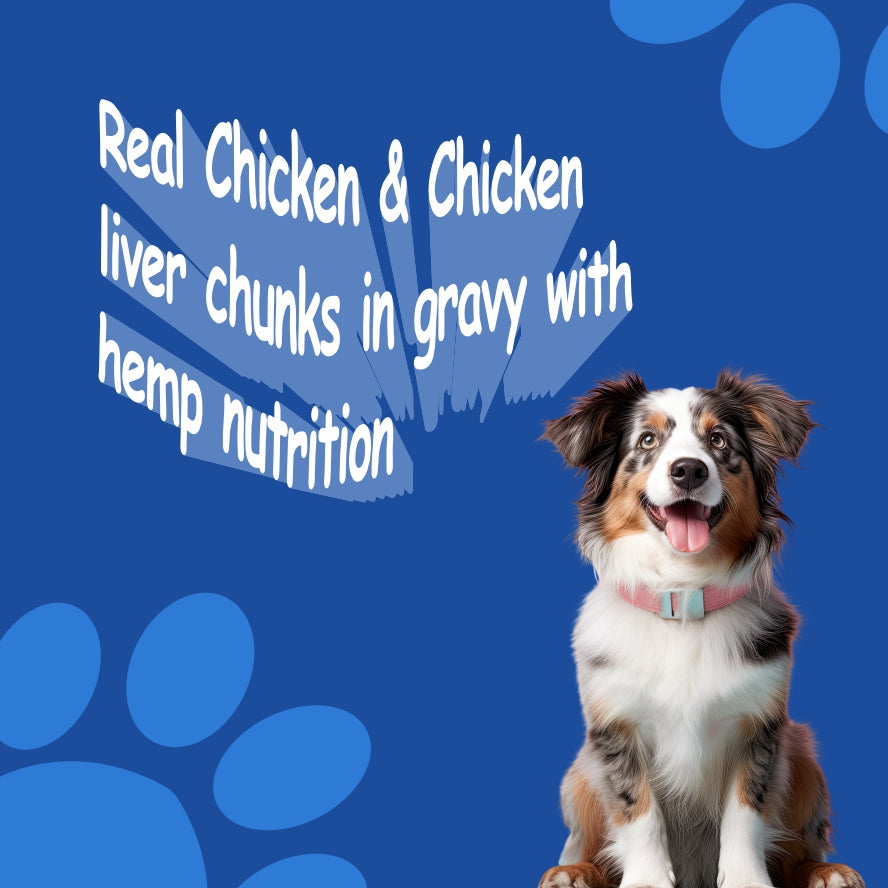 Hemp Gravy ( 1 Pouch 80g )