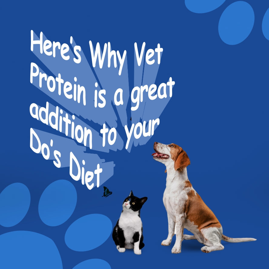 Vet Protein 300 Grams with Added Chicken flavoring Agent
