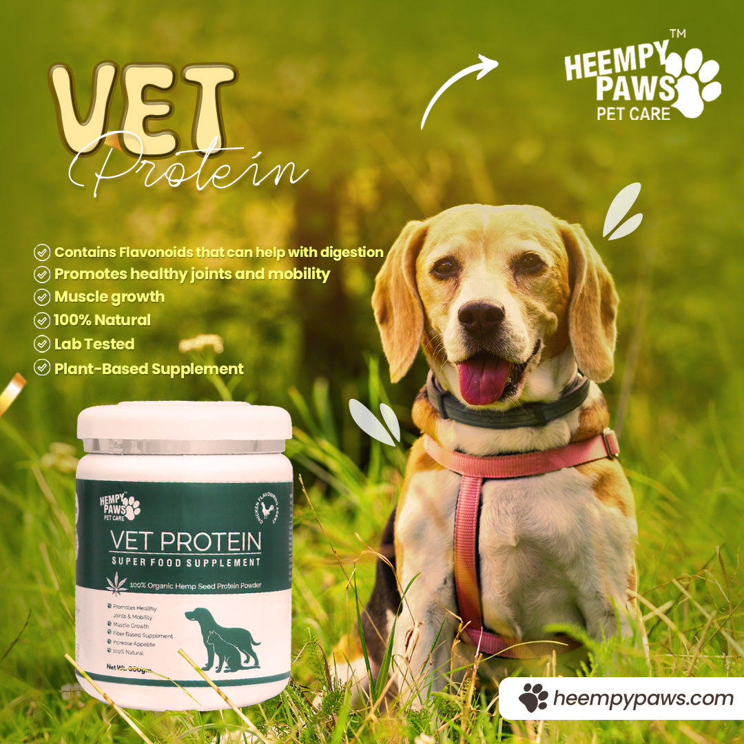 Supporting Optimal Canine Health with Heempy Paws