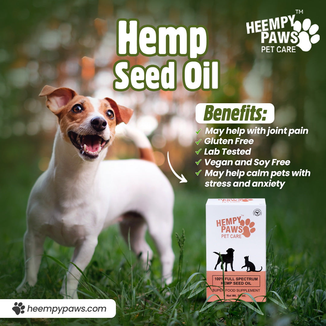 Heempy Paws: Nurturing Your Pet’s Well-Being with Natural Hemp Goodness