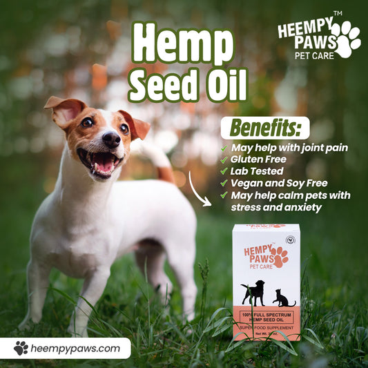 Heempy Paws: Nurturing Your Pet’s Well-Being with Natural Hemp Goodness