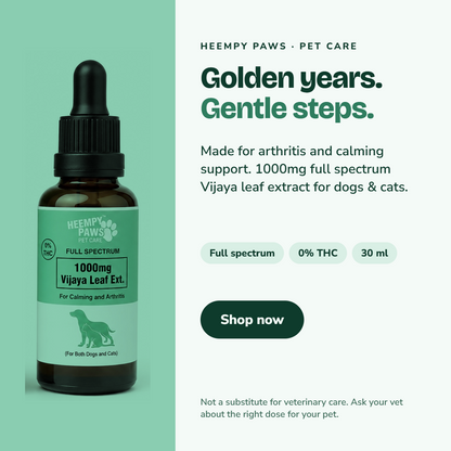 Full spectrum Vijaya Leaf Ext (1000mg CBD oil)