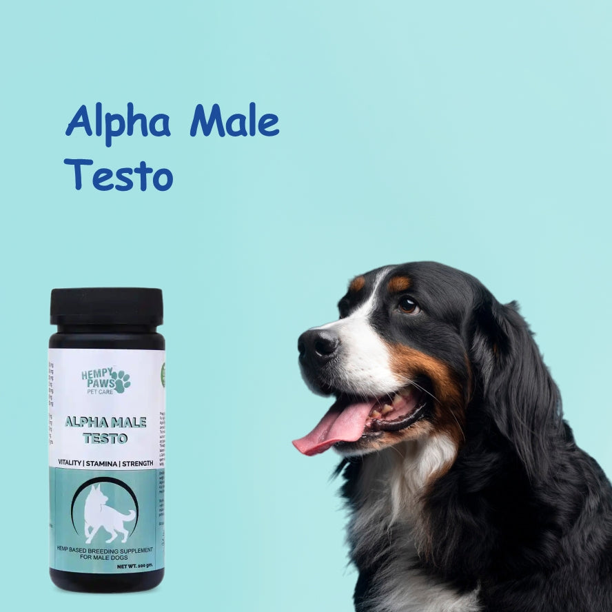 Breeding solution for Male dogs