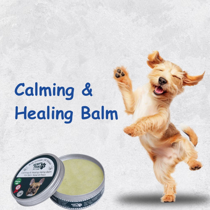 Calming and Healing Balm – Heempypaws