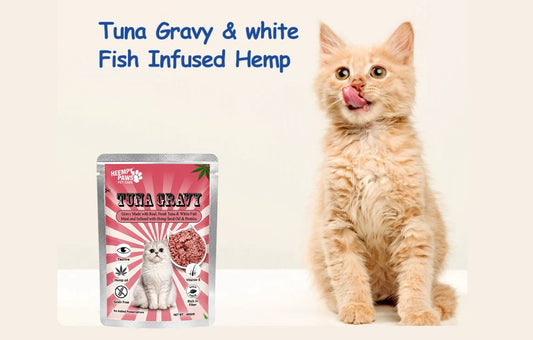 Tuna Gravy ( 1 Pouch 80g )