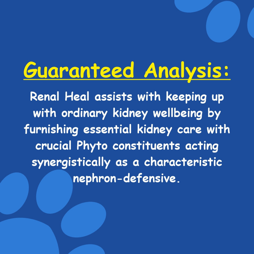 Renal Heal 200Ml