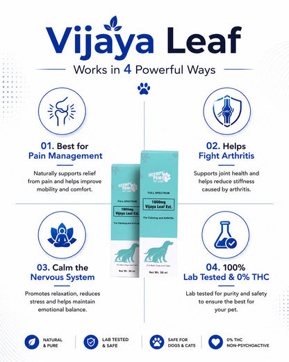 Full spectrum Vijaya Leaf Ext (1000mg CBD oil)
