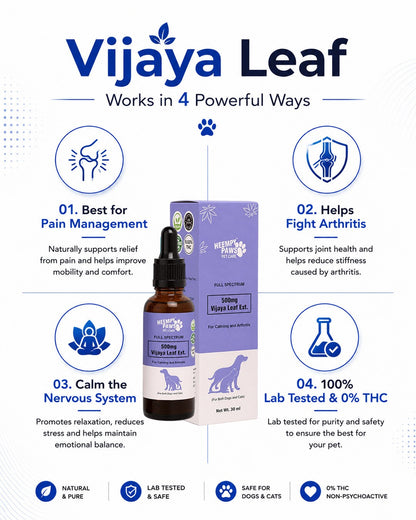 Full spectrum Vijaya Leaf Ext (500mg CBD oil)