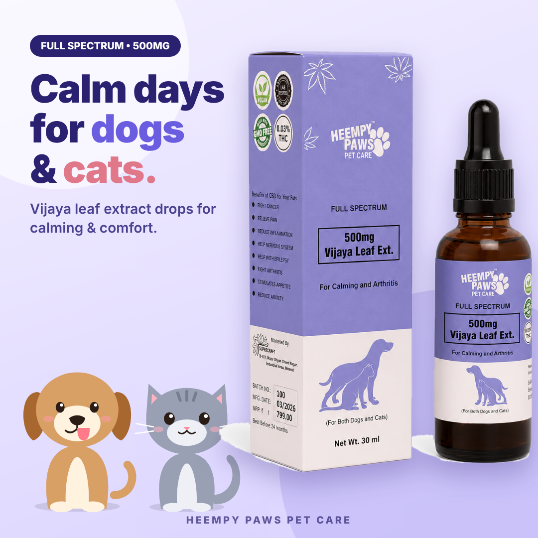Full spectrum Vijaya Leaf Ext (500mg CBD oil)